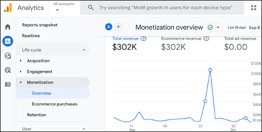 Monetization Overview Report