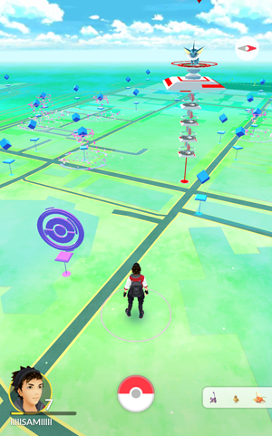 Pokemon Go Map View